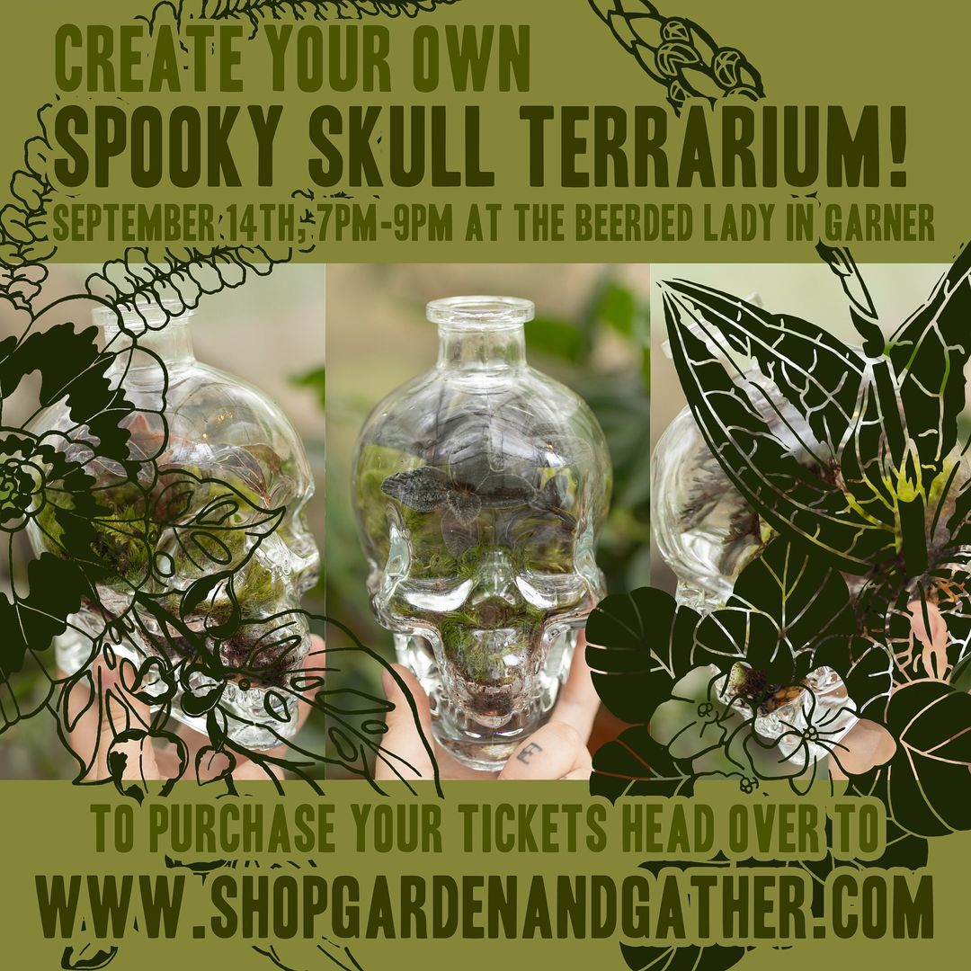 Skull Terrarium