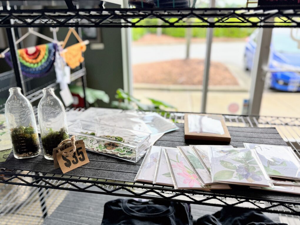 Garden & Gather Terrariums